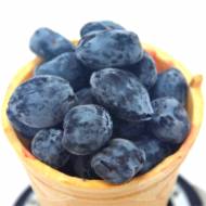 Саджанець Жимолость Серце гіганта (Канадська) в контейнері